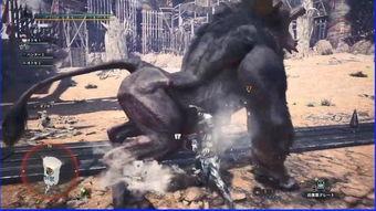 欧美兽在线视频,揭秘动物世界的激情与奥秘